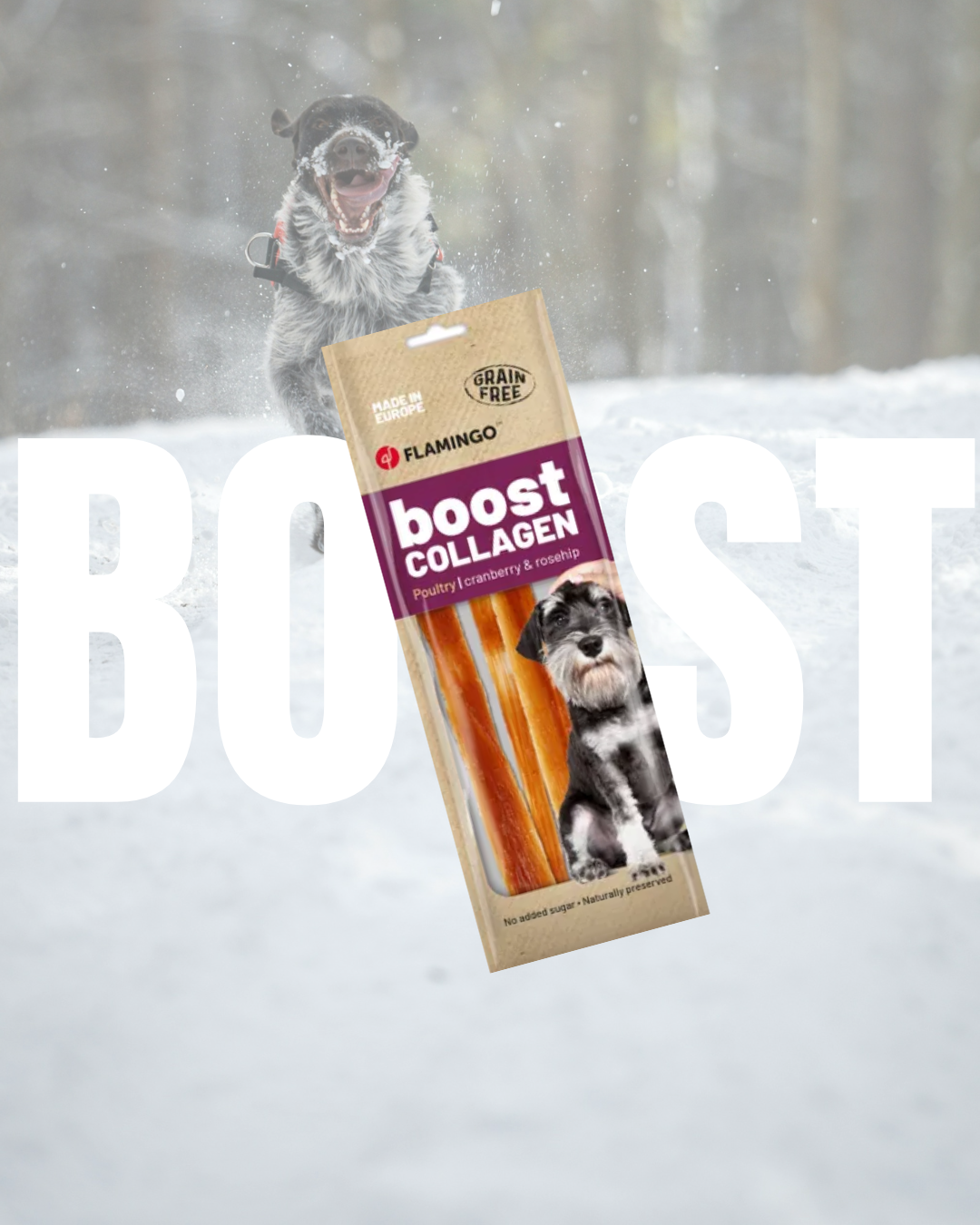 My Doggie Box Treats Boost