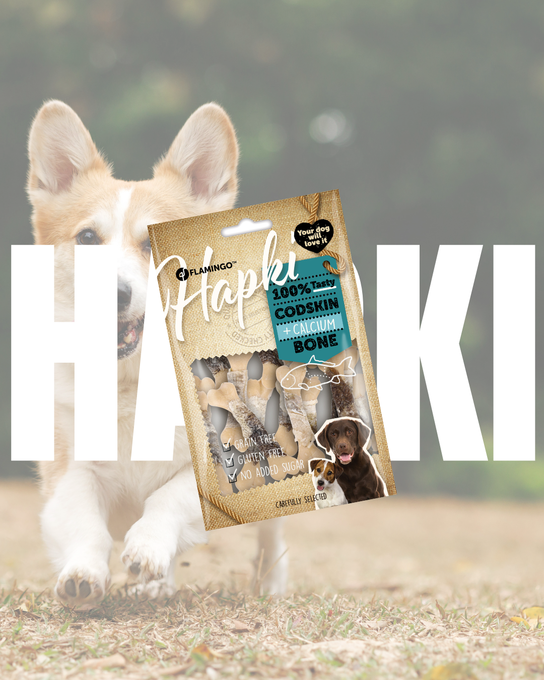 My Doggie Box Treats Hapki