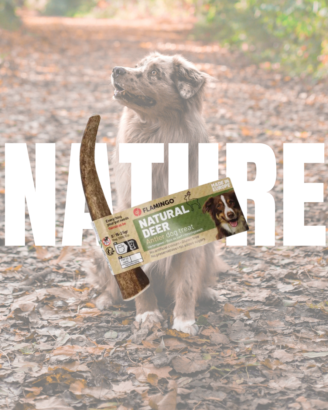 My Doggie Box Treats Nature