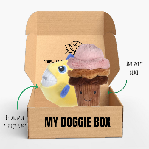 Box été pour ton petit chien 🌼