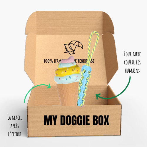 Box été pour ton petit chien 🌼