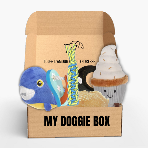 Box été pour ton grand chien 🌸