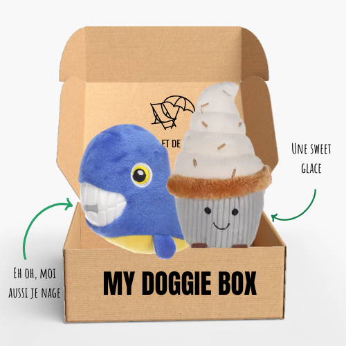 Box été pour ton grand chien 🌸