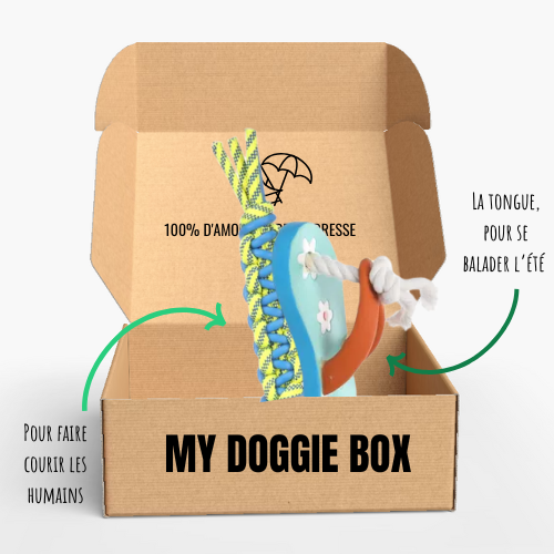 Box été pour ton grand chien 🌸