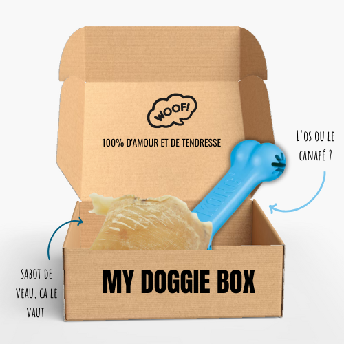 Box jouets pour chiot, mon p’tit héros 🦸