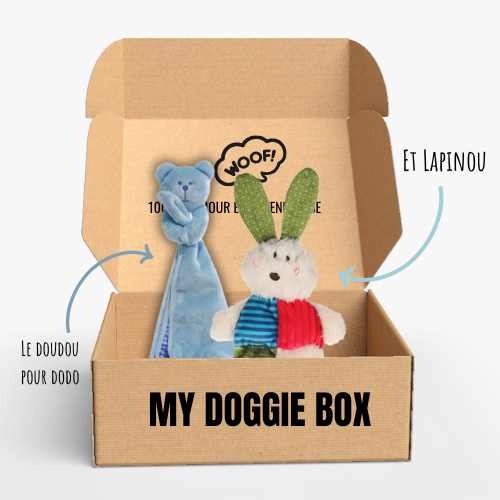 Box jouets pour chiot, mon p’tit héros 🦸