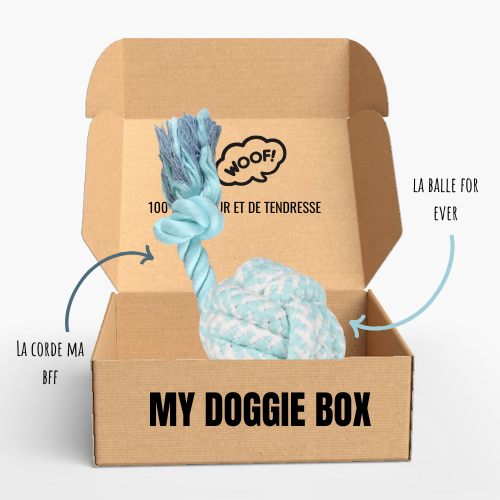 Box jouets pour chiot, mon p’tit héros 🦸