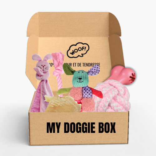 Box jouets pour chiot, ma p'tite fée 🧚