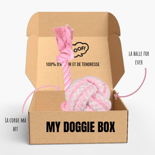 Box jouets pour chiot, ma p'tite fée 🧚