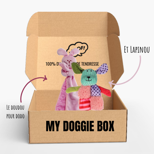 Box jouets pour chiot, ma p'tite fée 🧚