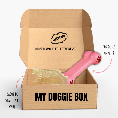My puppy, my little fairy 🧚 - Puppy toy box
