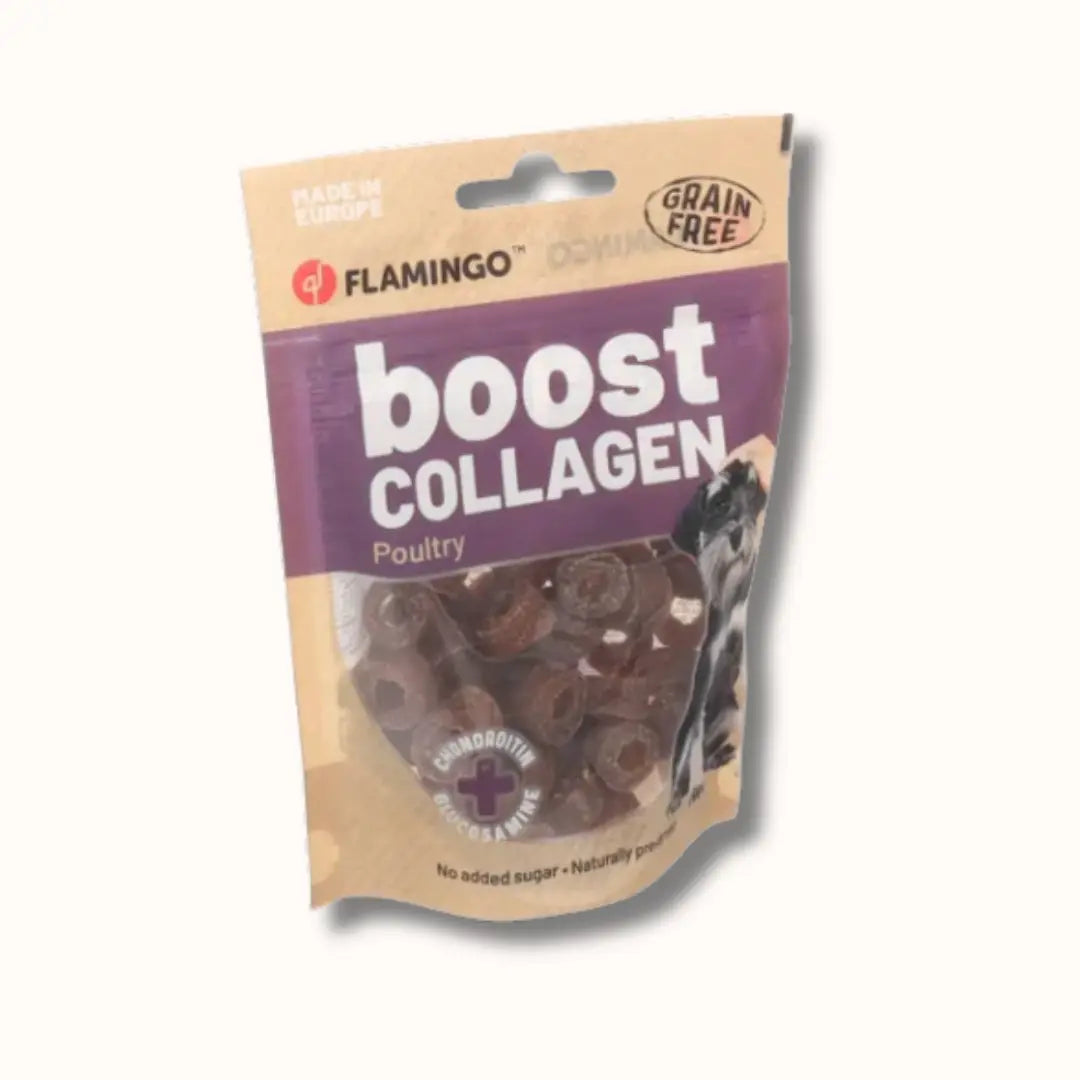 My Doggie Box nature boost.