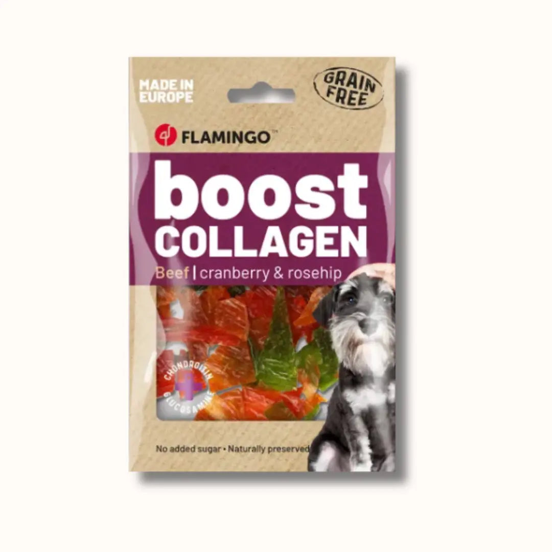 My Doggie Box nature boost.