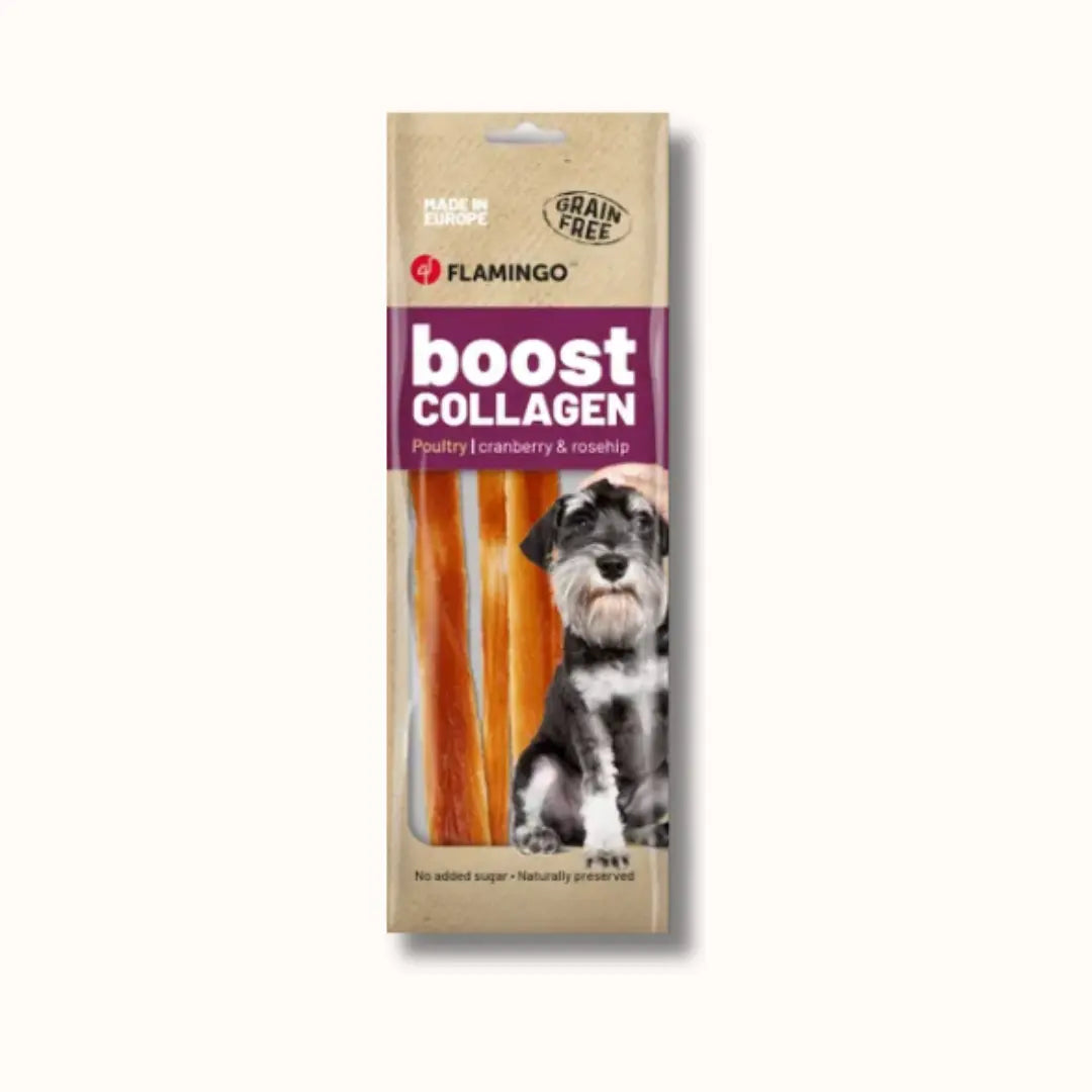 My Doggie Box nature boost.