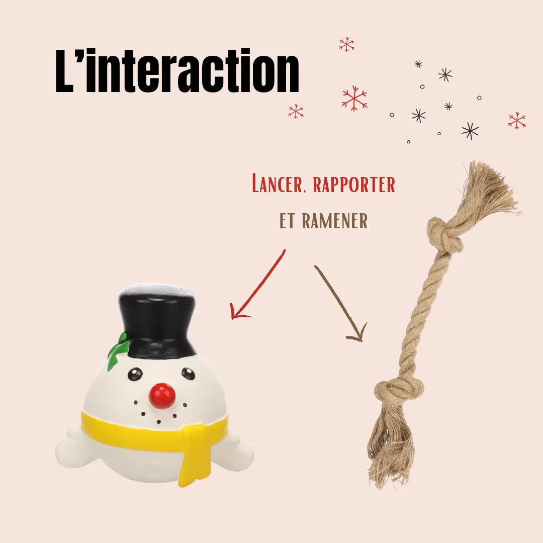 interaction toys