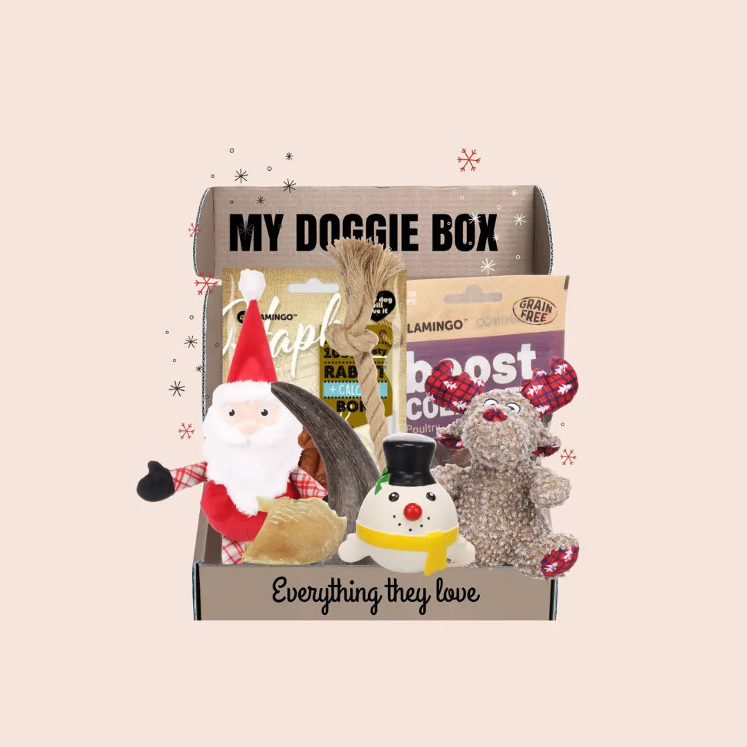 box de jouets