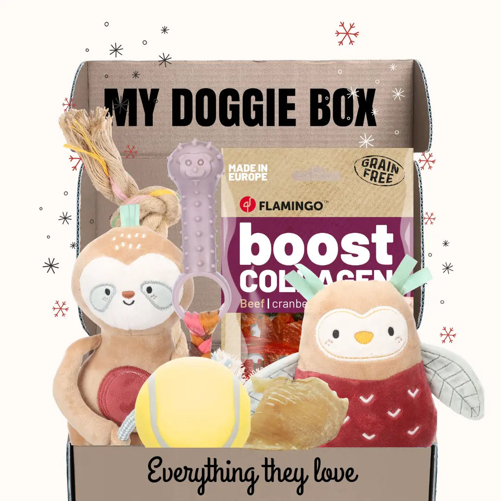 La Box Jouets Chiot : un coffret ludique et bien-être pour offrir à ton chiot jeux, mastication et friandises adaptées à ses besoins.