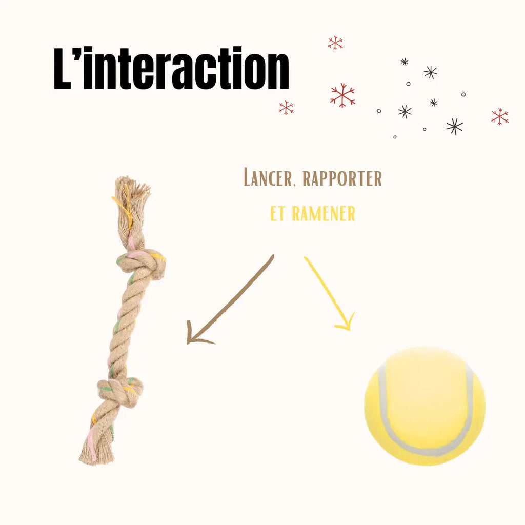 La Box Jouets Chiot : un coffret ludique et bien-être pour offrir à ton chiot jeux, mastication et friandises adaptées à ses besoins.