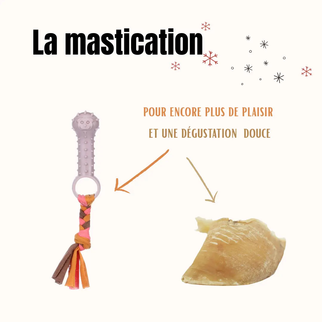 La Box Jouets Chiot : un coffret ludique et bien-être pour offrir à ton chiot jeux, mastication et friandises adaptées à ses besoins.