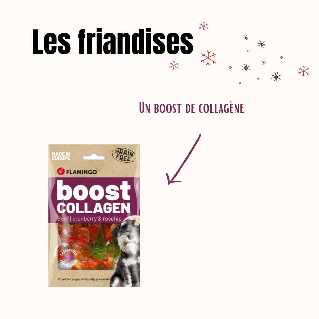 La Box Jouets Chiot : un coffret ludique et bien-être pour offrir à ton chiot jeux, mastication et friandises adaptées à ses besoins.