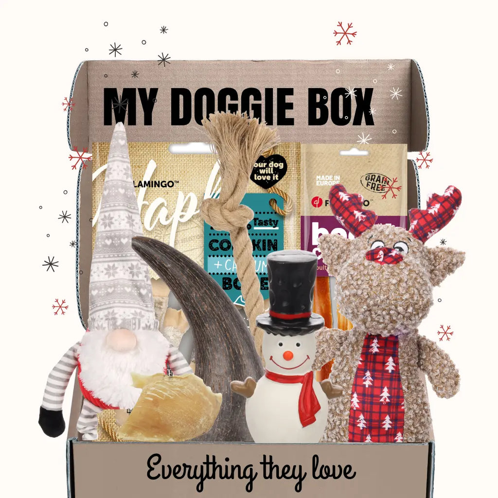 La Box Jouets Grand Chien : un coffret ludique et bien-être pour offrir à ton chiot jeux, mastication et friandises adaptées à ses besoins.