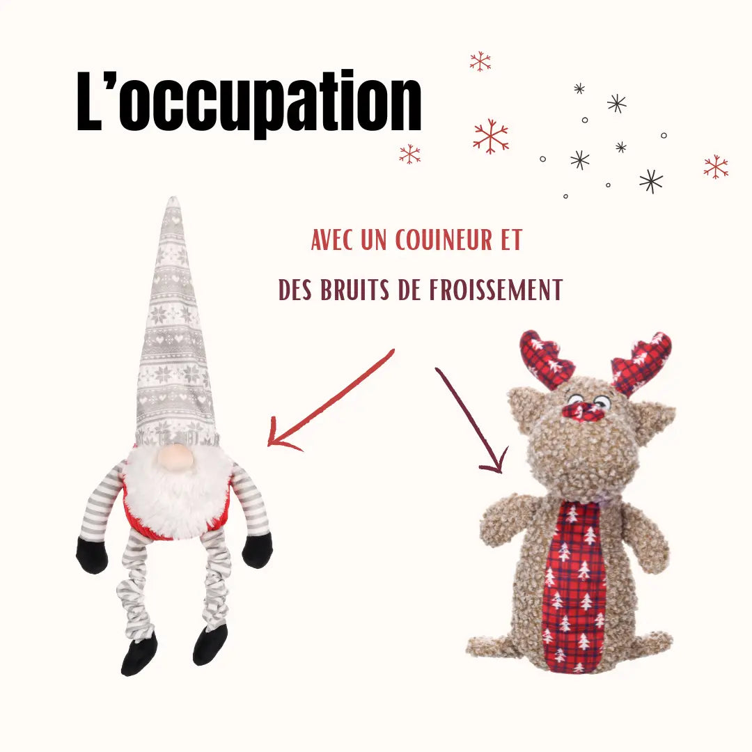 La Box Jouets Grand Chien : un coffret ludique et bien-être pour offrir à ton chiot jeux, mastication et friandises adaptées à ses besoins.