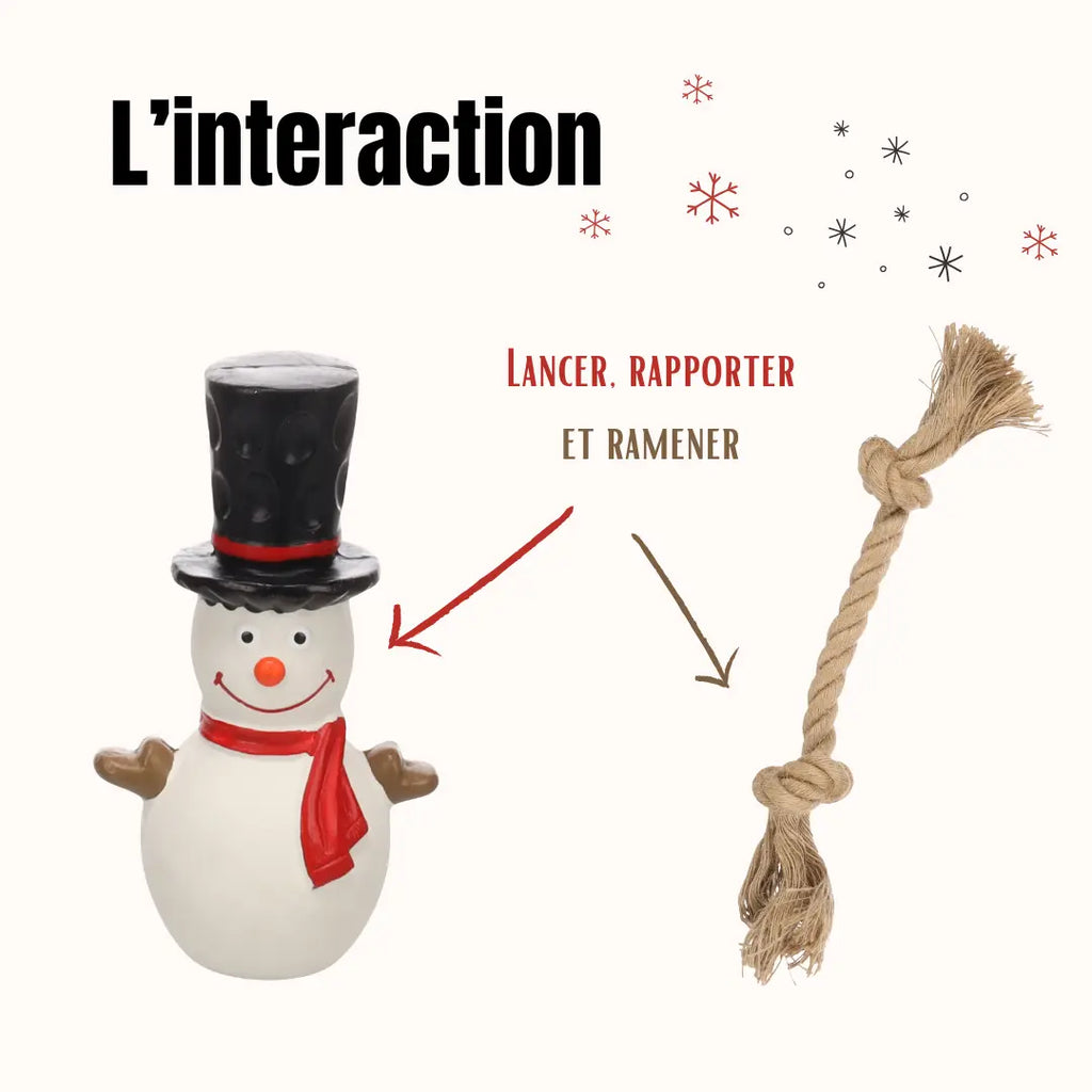 La Box Jouets Grand Chien : un coffret ludique et bien-être pour offrir à ton chiot jeux, mastication et friandises adaptées à ses besoins.