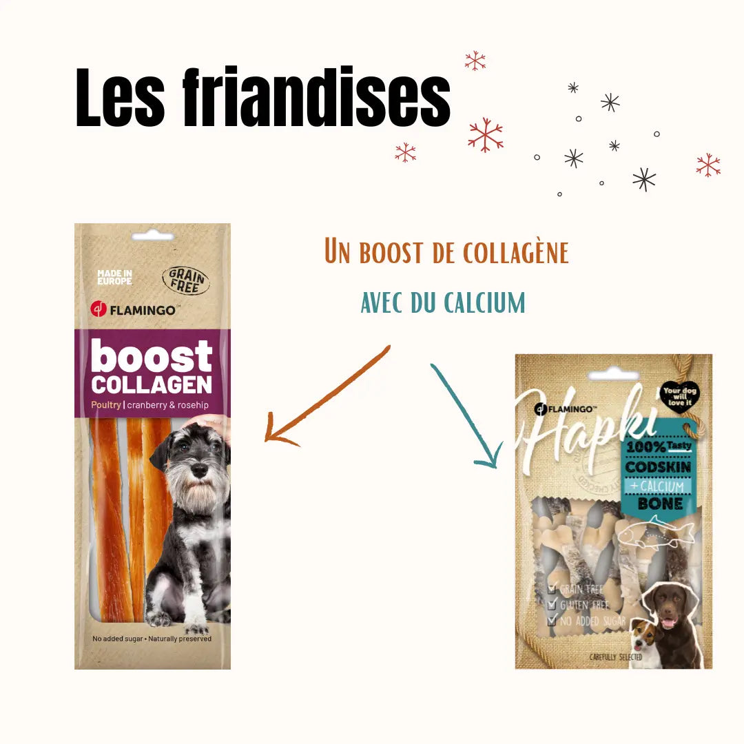 La Box Jouets Grand Chien : un coffret ludique et bien-être pour offrir à ton chiot jeux, mastication et friandises adaptées à ses besoins.