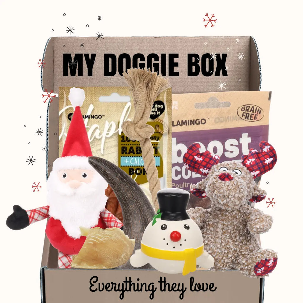 La Box Jouets Petit Chien : un coffret ludique et bien-être pour offrir à ton chiot jeux, mastication et friandises adaptées à ses besoins.