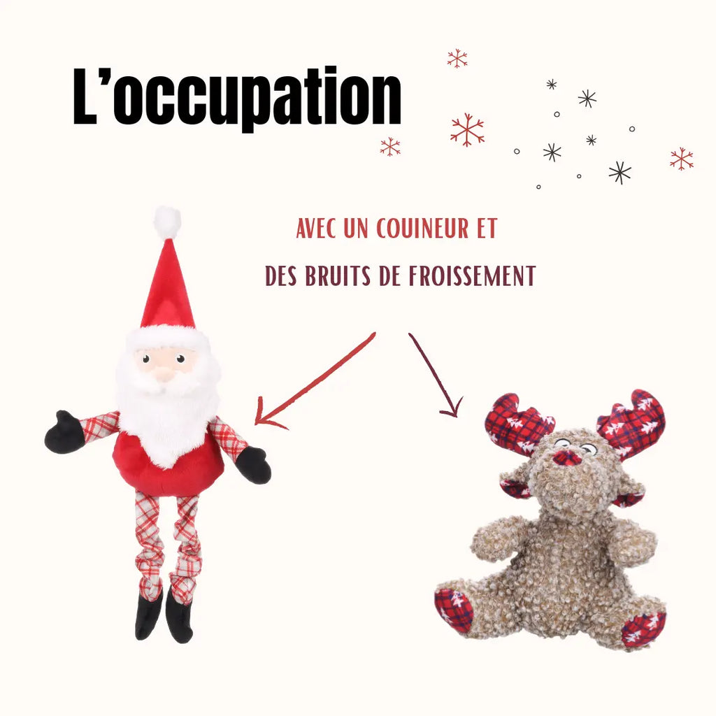 La Box Jouets Petit Chien : un coffret ludique et bien-être pour offrir à ton chiot jeux, mastication et friandises adaptées à ses besoins.