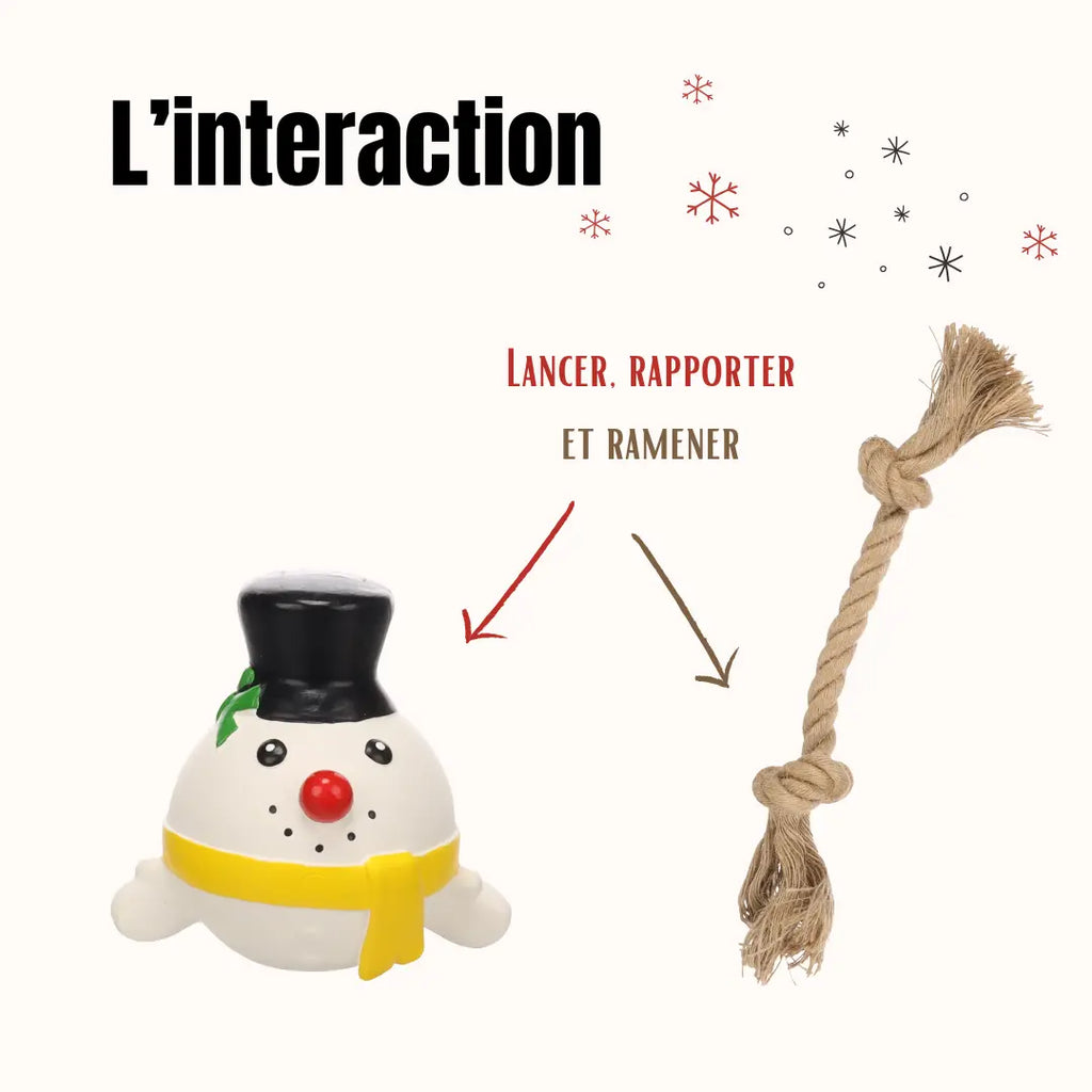 La Box Jouets Petit Chien : un coffret ludique et bien-être pour offrir à ton chiot jeux, mastication et friandises adaptées à ses besoins.