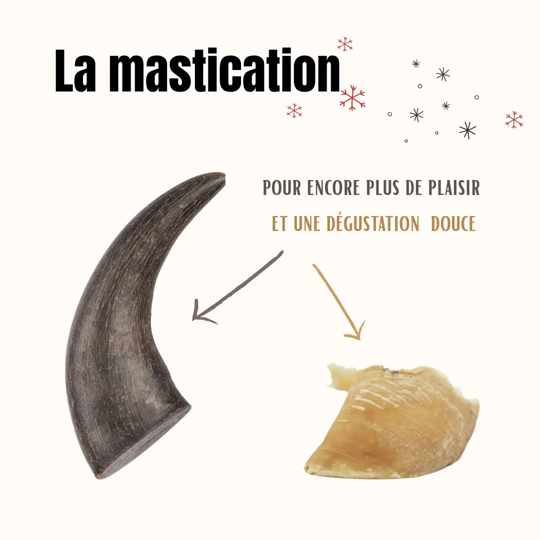 La Box Jouets Petit Chien : un coffret ludique et bien-être pour offrir à ton chiot jeux, mastication et friandises adaptées à ses besoins.