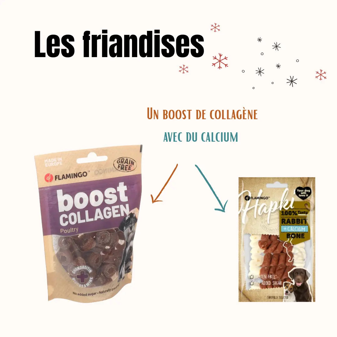La Box Jouets Petit Chien : un coffret ludique et bien-être pour offrir à ton chiot jeux, mastication et friandises adaptées à ses besoins.