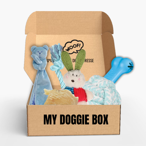 Box jouets pour chiot, mon p’tit héros 🦸