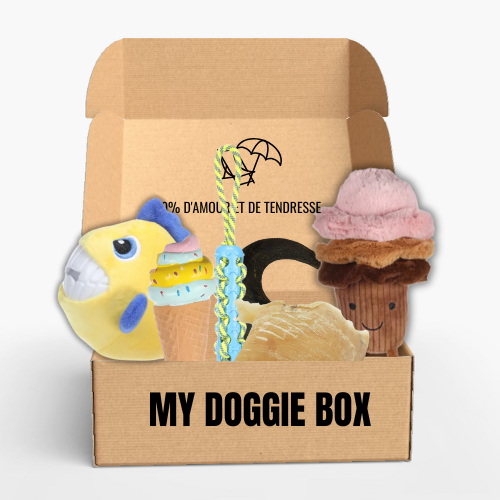 Box été pour ton petit chien 🌼