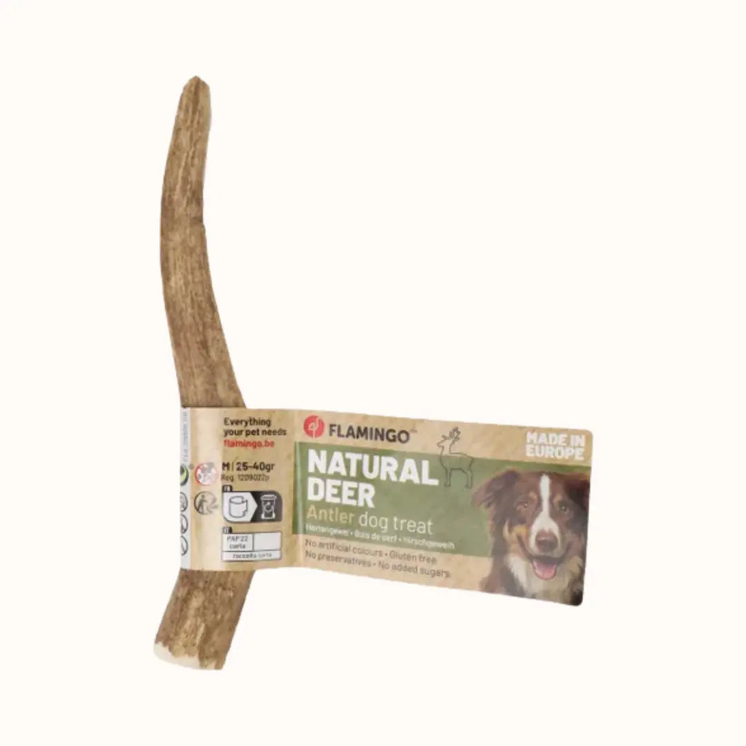 My Doggie Box Natur-Snack Hirschgeweih.