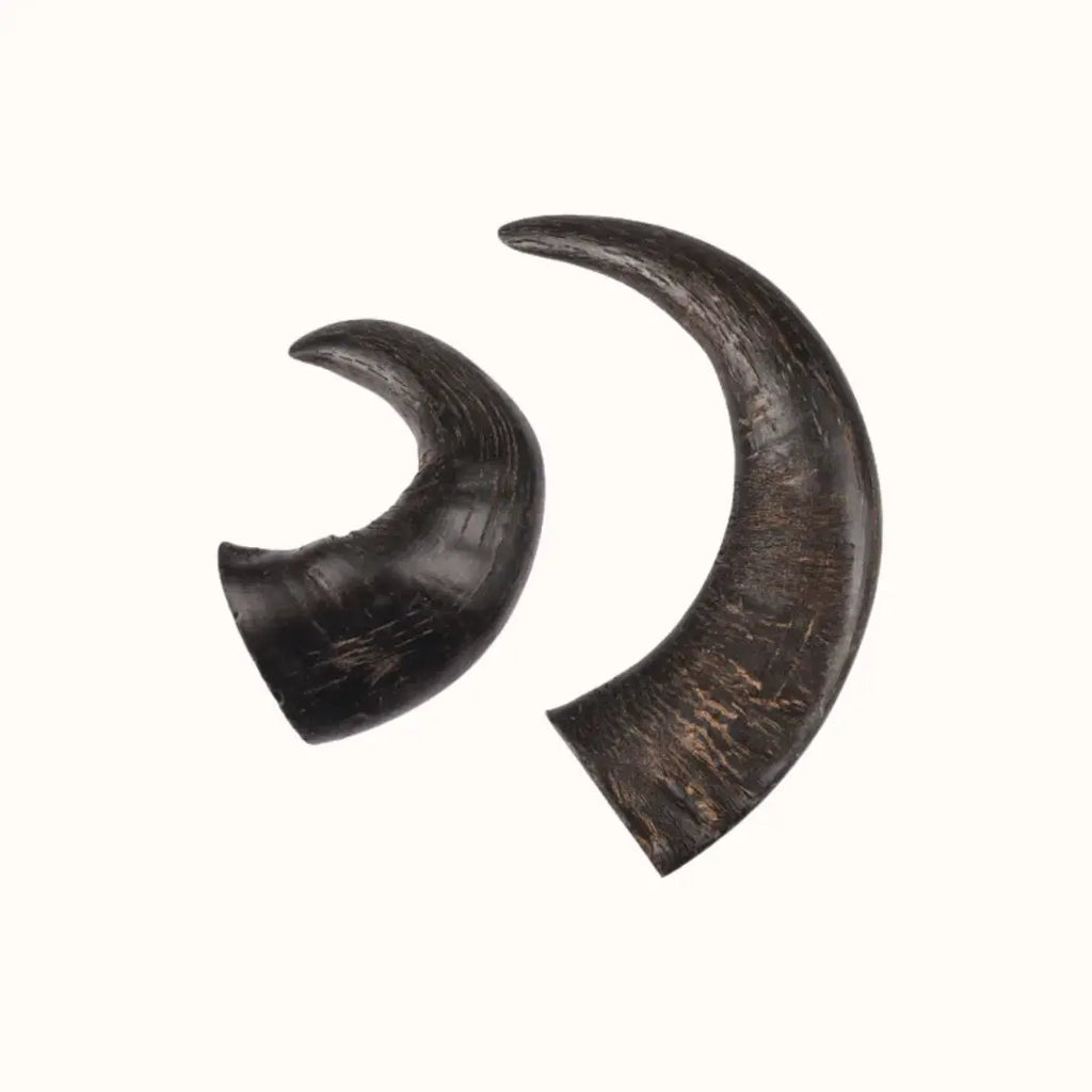 My Doggie Box delicatezza naturale in corno di bufalo