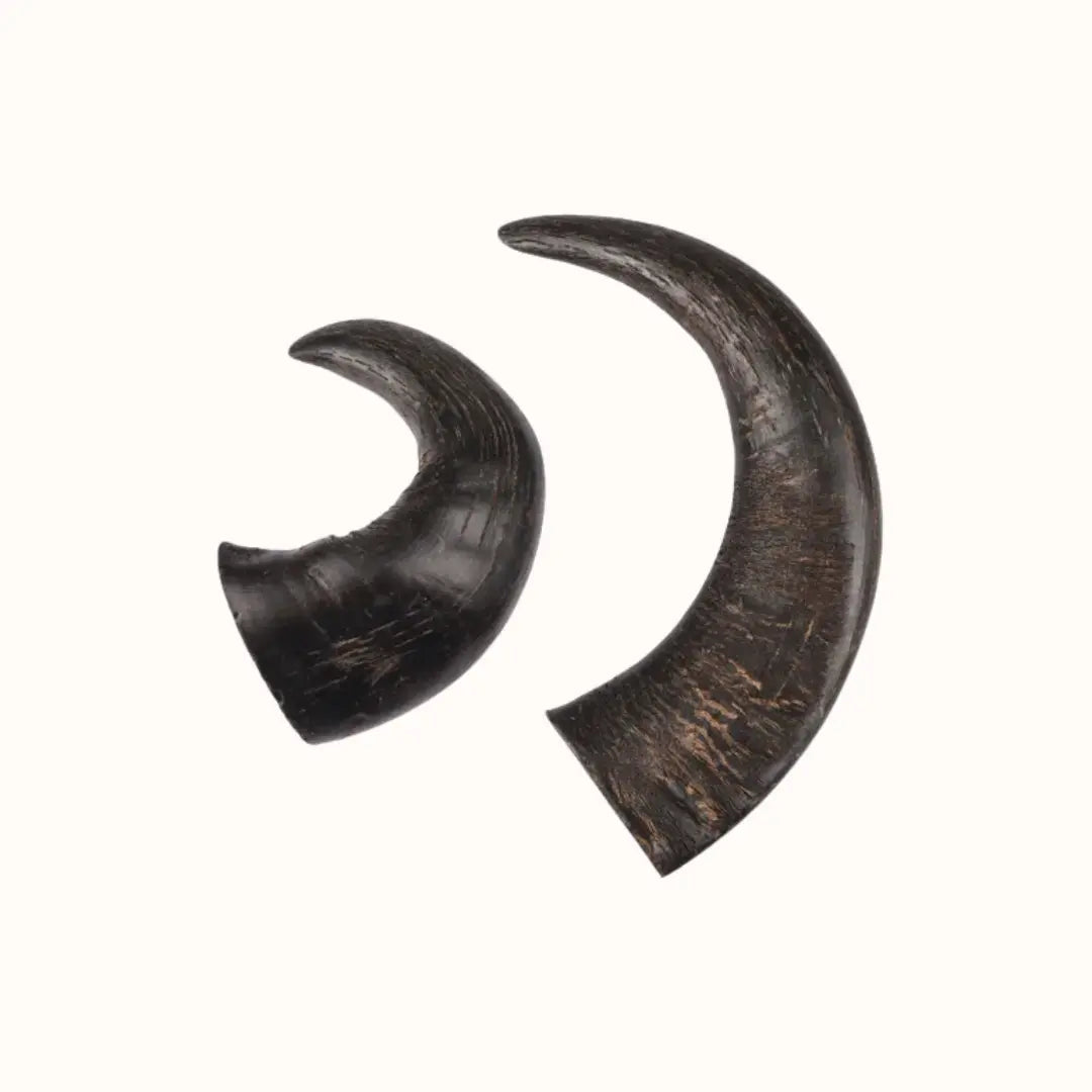 Leckerli My Doggie Box Natur Büffelhorn